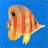 Portrait de xavvagcoco