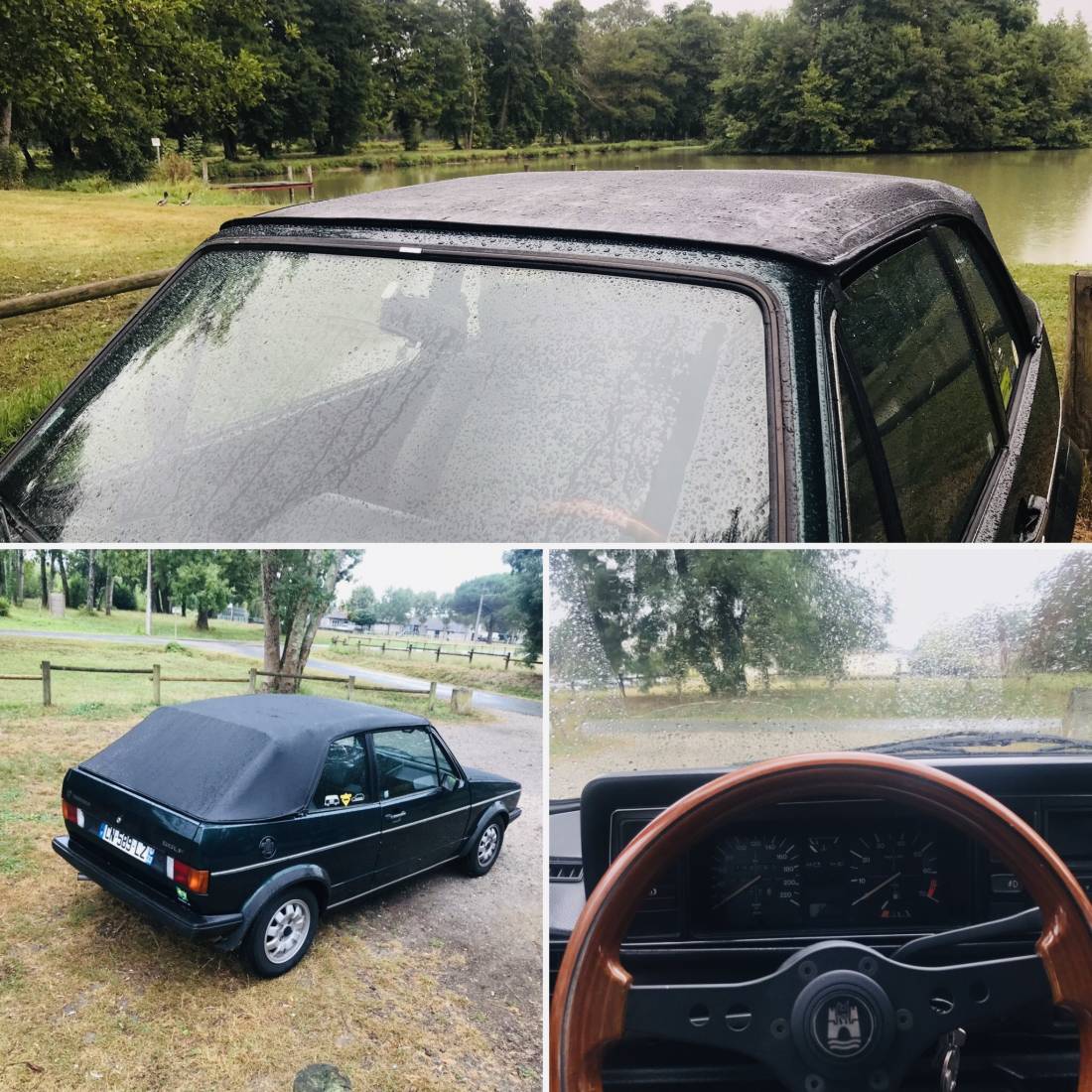 D3705759-5354-4354-A48A-24B92D38C32E.jpeg D3705759-5354-4354-A48A-24B92D38C32E.jpeg