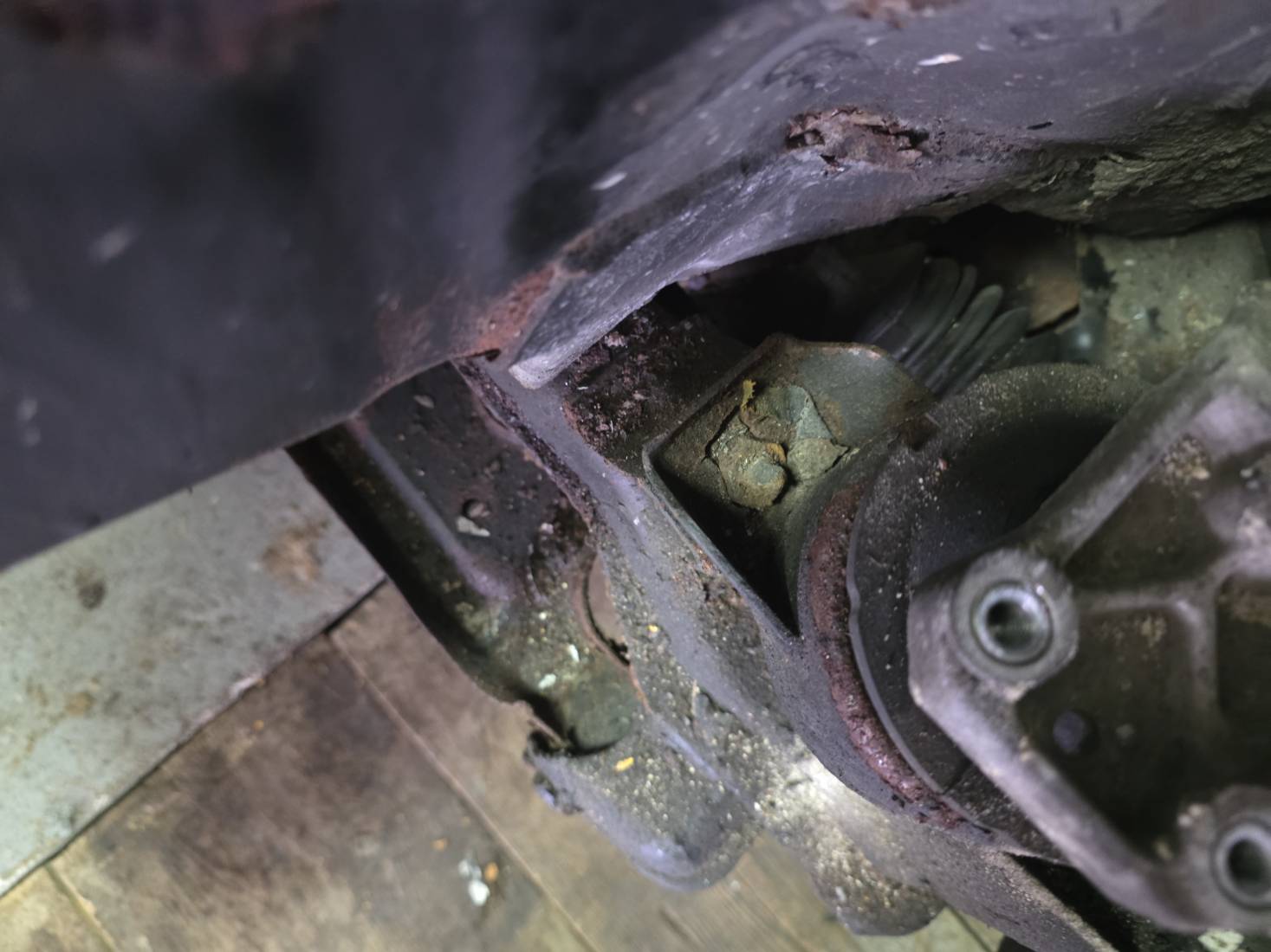 20251129_113818.jpg 20251129_113818.jpg