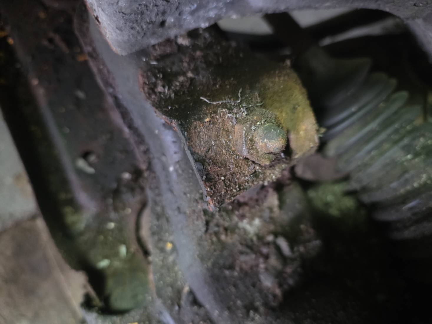 20251129_113842.jpg 20251129_113842.jpg