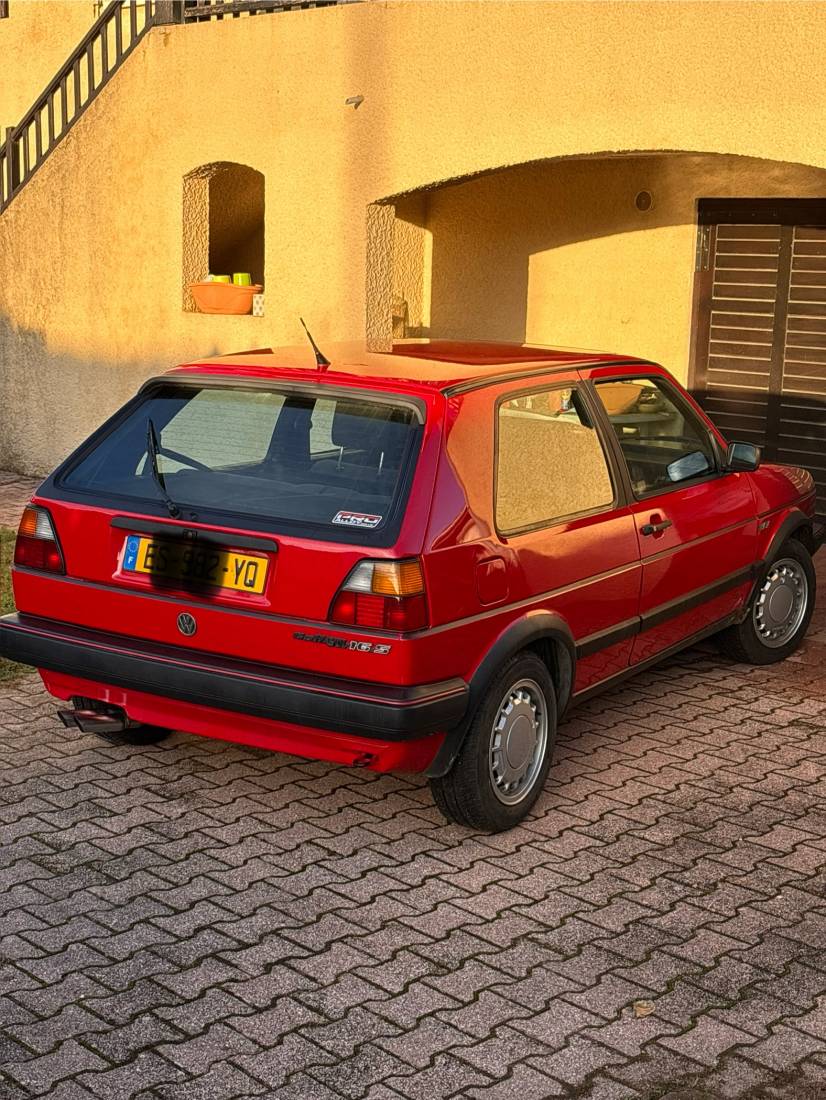 IMG_5210.jpeg IMG_5210.jpeg