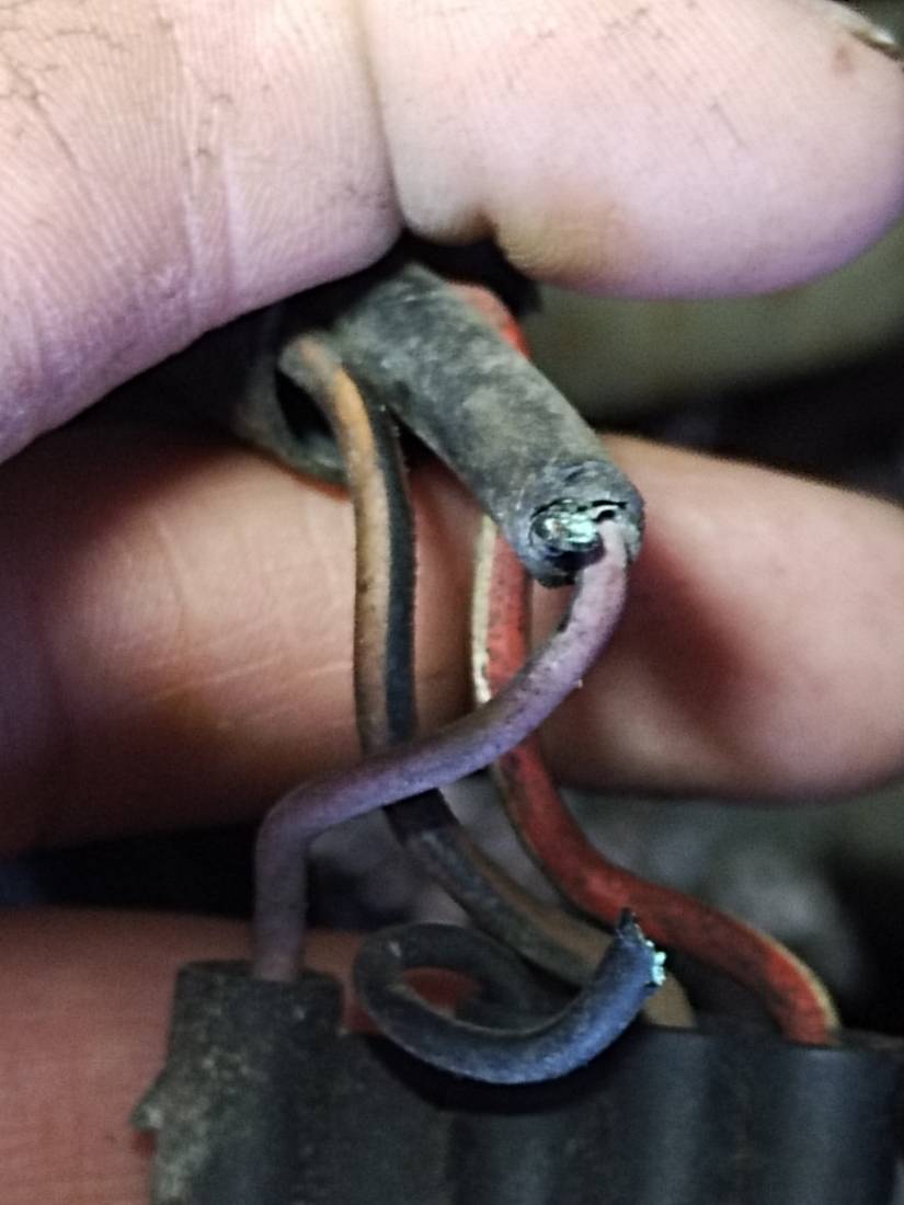 IMG_20260303_155909.jpg IMG_20260303_155909.jpg