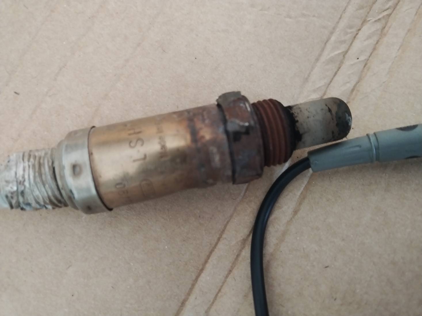 IMG_20260304_152854.jpg IMG_20260304_152854.jpg